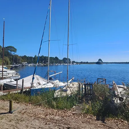 Magnifique Avec Piscine Villa Biscarrosse
