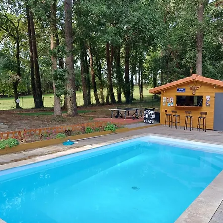 Magnifique Avec Piscine Villa Biscarrosse