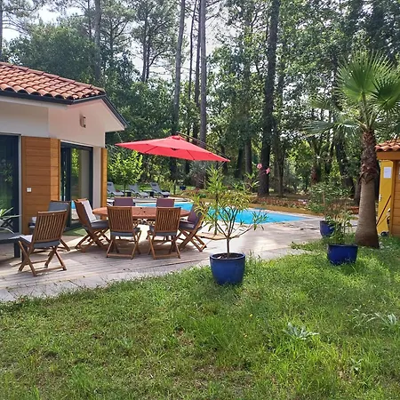 Magnifique Avec Piscine Villa Biscarrosse